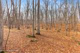 Lot 6 Hutson Hill - Photo 3