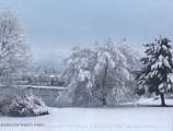 32 Shore Drive - Photo 37
