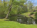 113 Joseph Lane - Photo 15