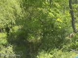 392 Lehman-Outlet Road - Photo 12