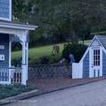 208 Kline Street - Photo 111