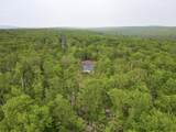 109 Forest Lake Drive - Photo 14