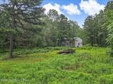 216 Buckhorn Lane - Photo 41