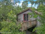 216 Buckhorn Lane - Photo 51
