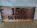 156 Big Bass Drive Drive - Photo 19