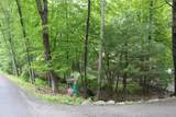 55 Arbutus Lane - Photo 50