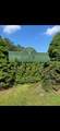 3124 Fern Road - Photo 38