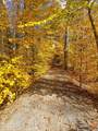 1341 Beaver Valley Road - Photo 24