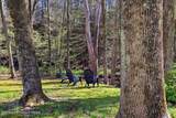 465 Pensyl Creek Road - Photo 35