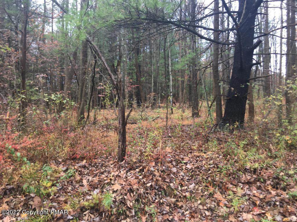 Lot 16 White Oak Ln - Photo 1