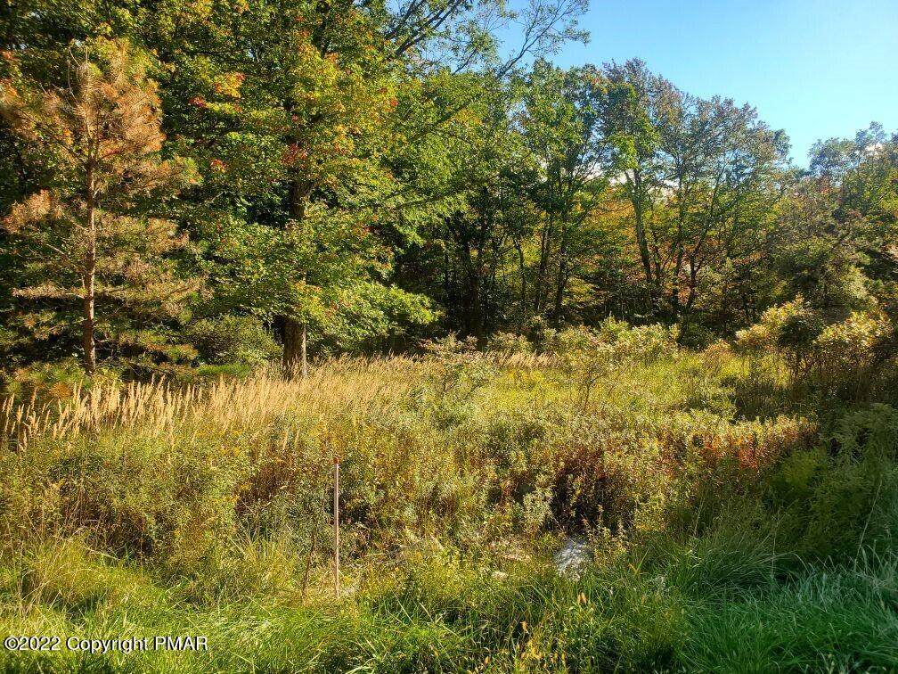 Lot 611 Williams Ln - Photo 1