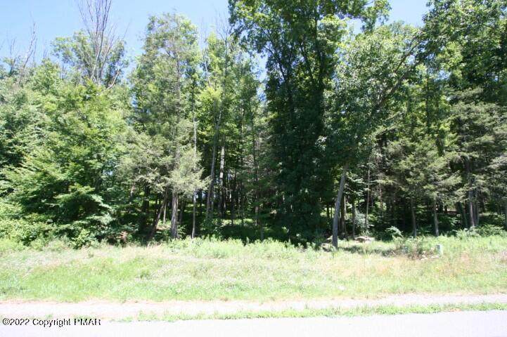 Lot 48&49 Beaver Boulevard - Photo 1