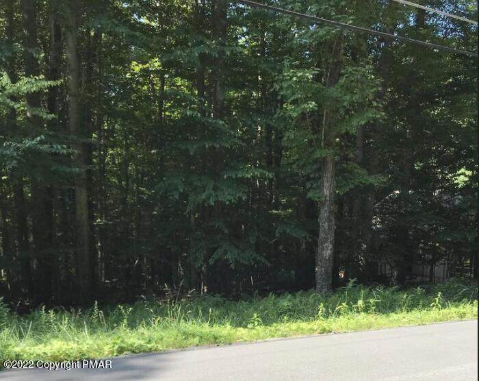 117 King Arthur Rd - Photo 1