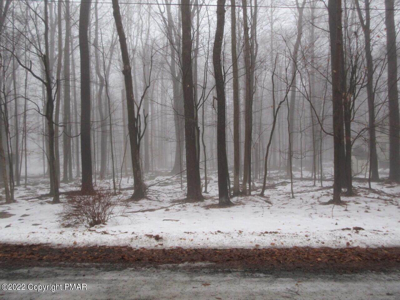 Buck Run - Photo 1