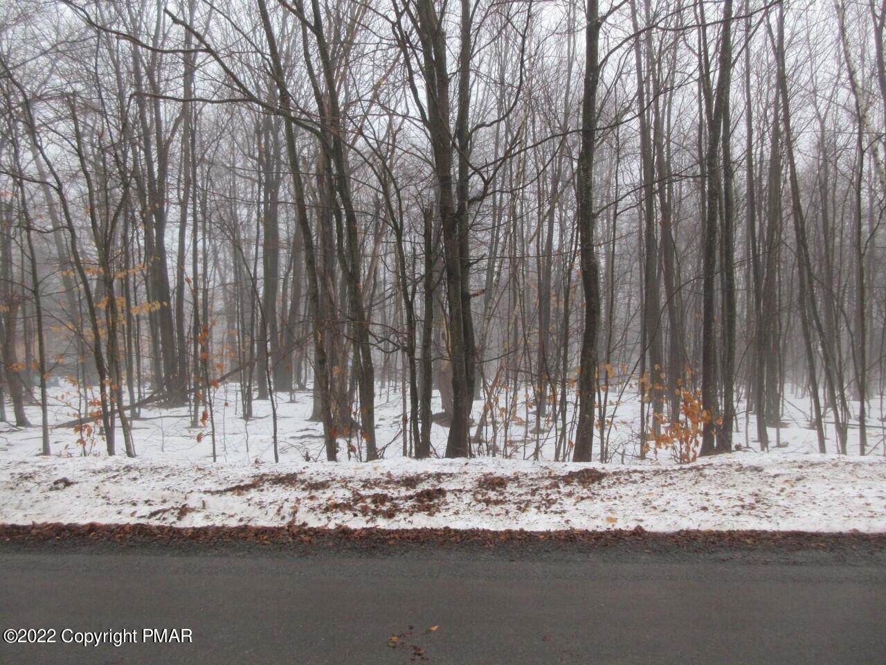 Maple Dr - Photo 1
