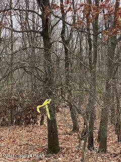 Lot 6004 Scenic Drive - Photo 1