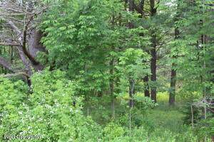 Pa Rt 115 - Photo 1