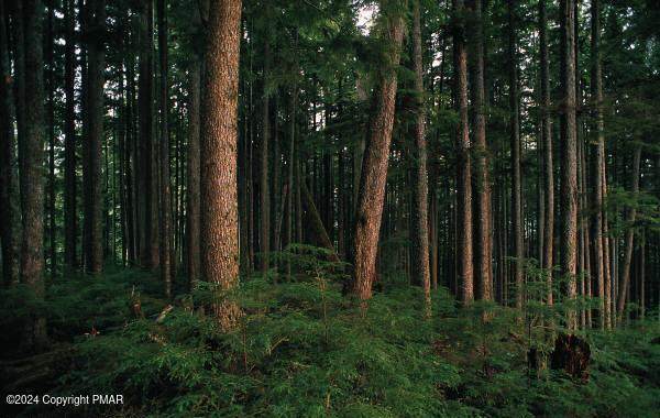 605 Mountain Road - Photo 1