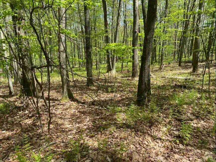 399 Bobolink Trail - Photo 1
