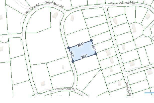 2818 Magic Mountain Rd - Photo 1
