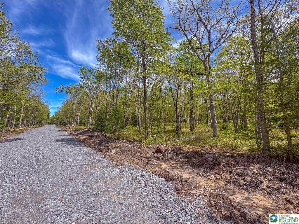 Lot 567 Cross Run Road - Photo 1