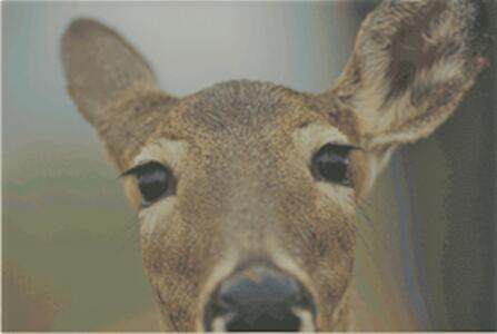 123 Eagles View Drive - Photo 1