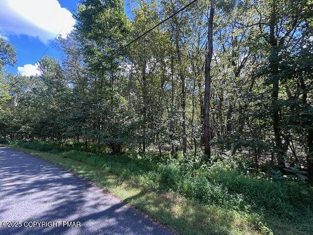 Lot 20ALAS Piney Woods Drive - Photo 1