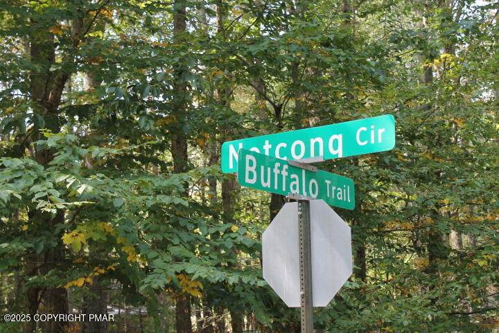  Buffalo Trl #8 - Photo 1