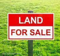 32 & 28 Central Park 32 & 28 - Photo 1