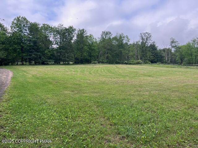 1163 Bush Road - Photo 1