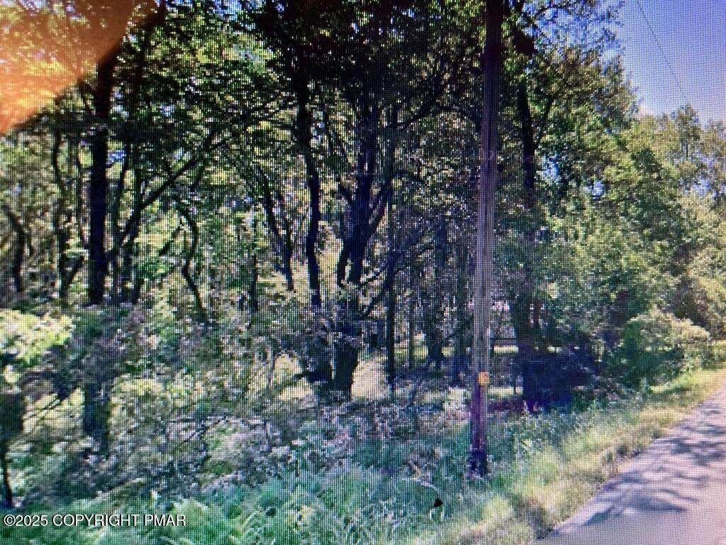 2237 Nosirrah Road - Photo 1