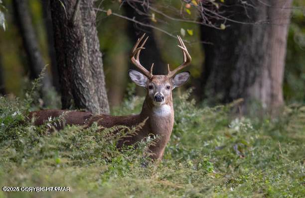 10 George Dr Drive - Photo 1
