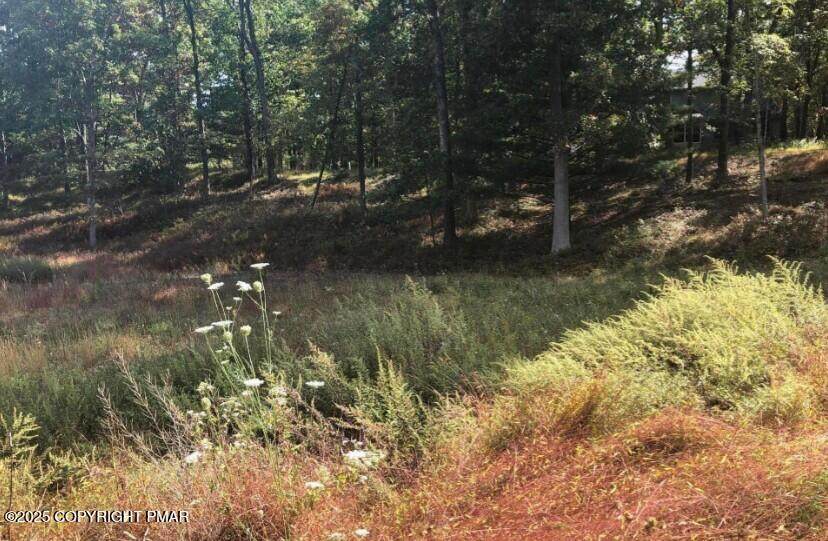  Arapahoe Dr 605 - Photo 1