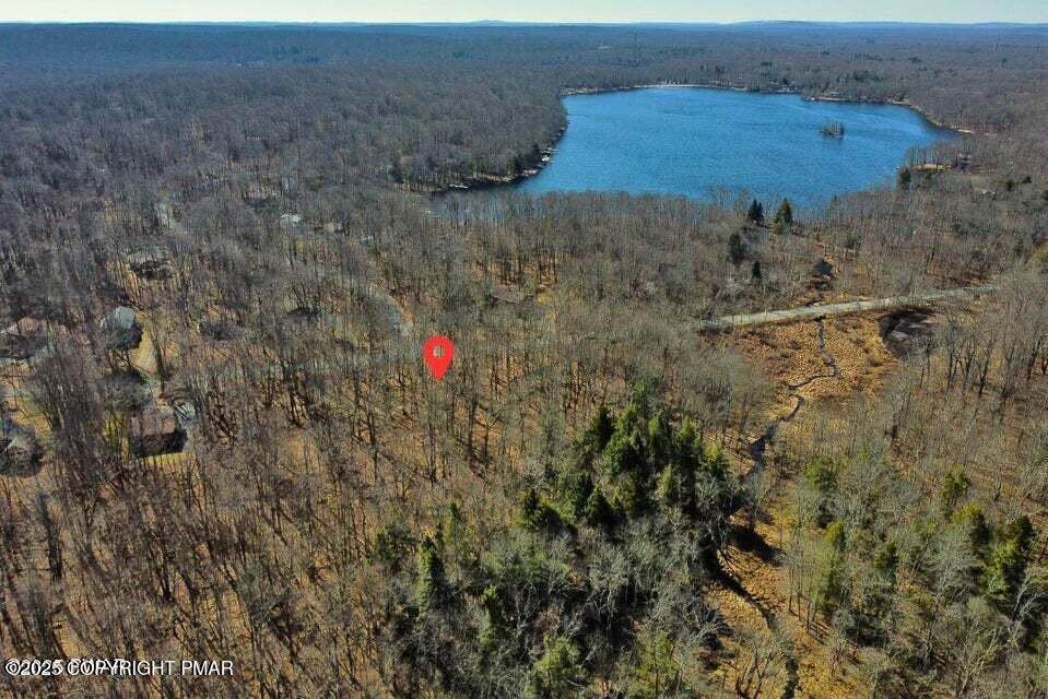  Lyman Lane - Photo 1