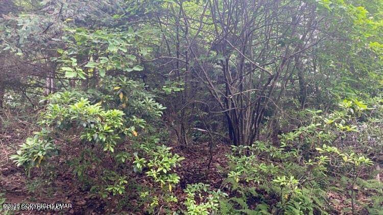 9 Sky Hawk Trail - Photo 1