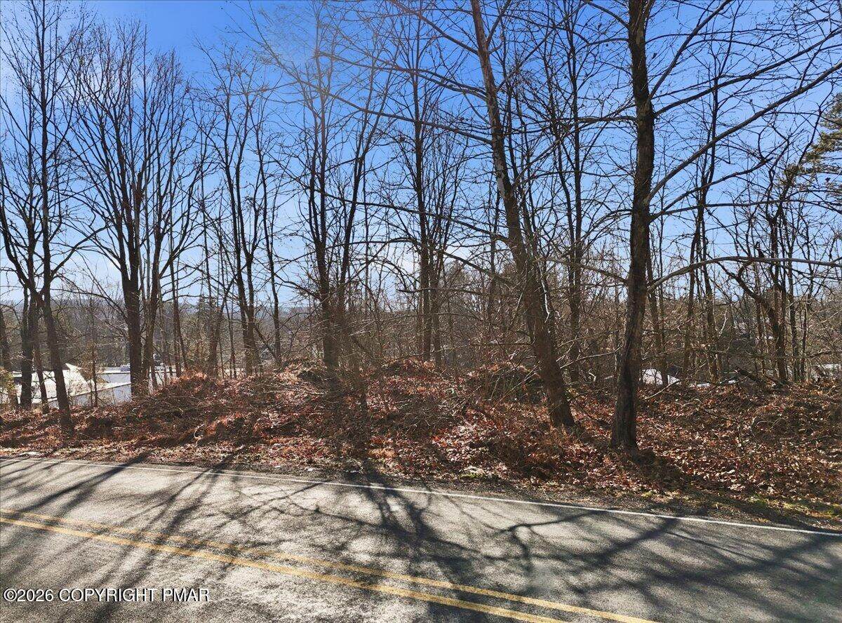 102 Edgemont Road - Photo 1