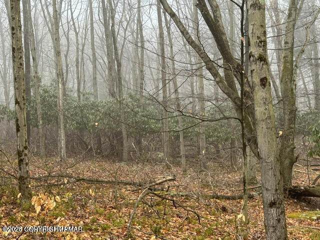 https://bt-photos.global.ssl.fastly.net/pocono/orig_boomver_1_PM-138476-2.jpg
