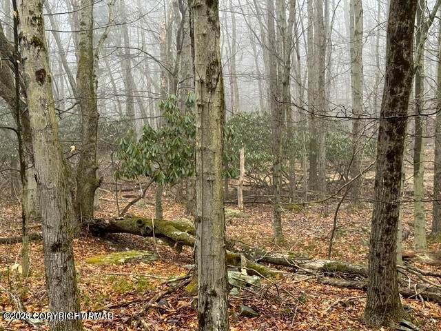 https://bt-photos.global.ssl.fastly.net/pocono/orig_boomver_1_PM-138476-2.jpg