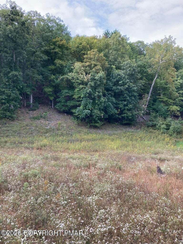 Lot 67 Highland Avenue - Photo 1