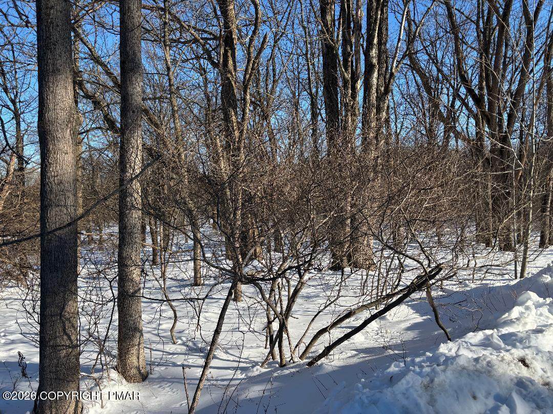 3025 Delaware Drive - Photo 1