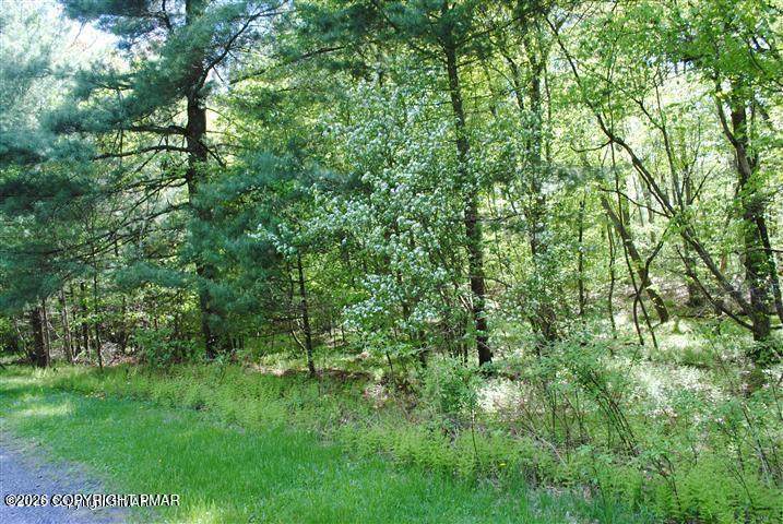 Lot 6 Outer Dr 6 Drive - Photo 1