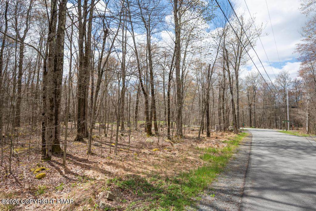 Lot 87 Pioneer Trail - Photo 1