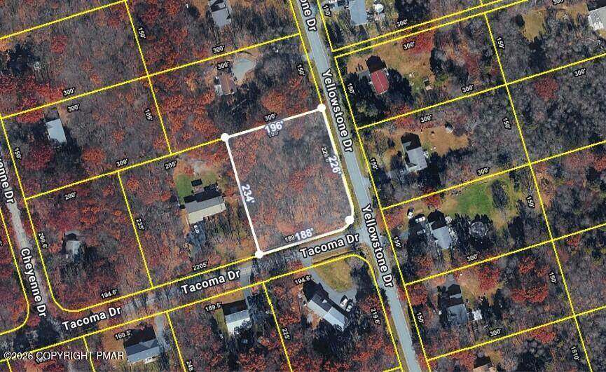  Yellowstone Dr Drive - Photo 1