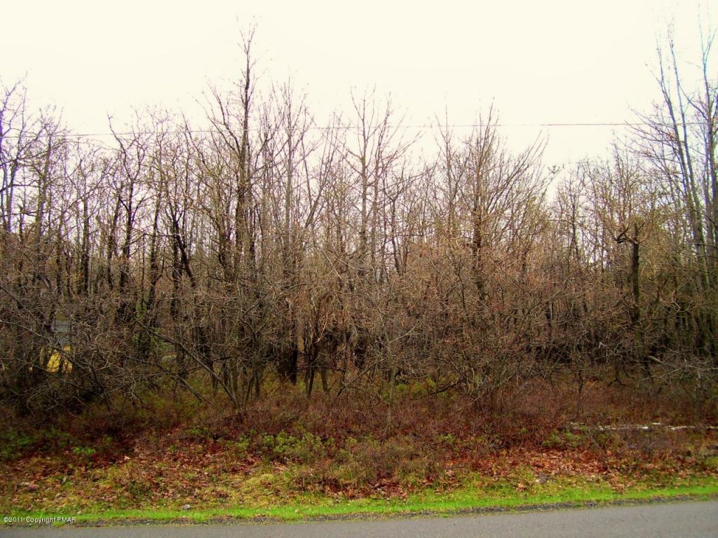 62 Crest View Road - Photo 1