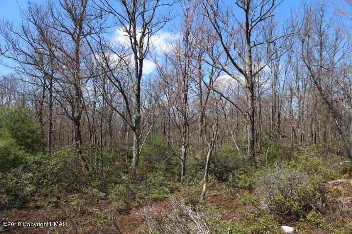 C405 Unionville Rd - Photo 1