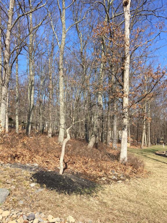 118 O Donovan Dr - Photo 1