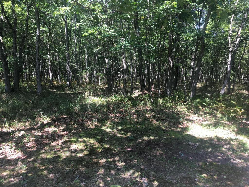 Lot 298 Byron Ln - Photo 1