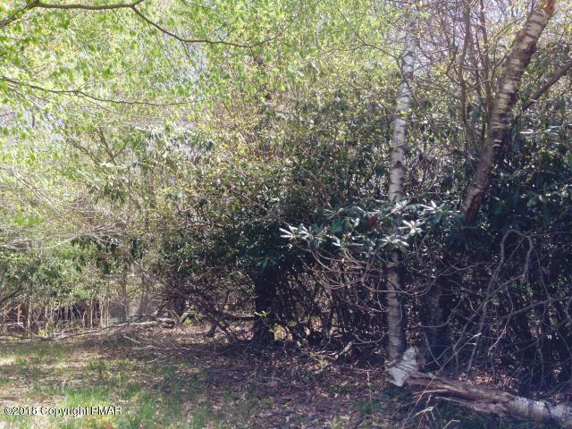 Millers Dr - Photo 1
