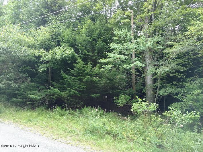 Thunder Ln - Photo 1