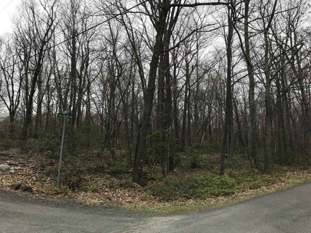 Catawba Place/Saginaw Dr - Photo 1